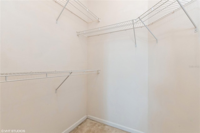 walk in closet with light colored carpet