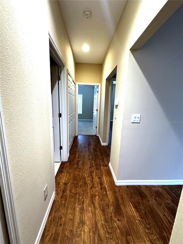 hallway with dark wood-type flooring