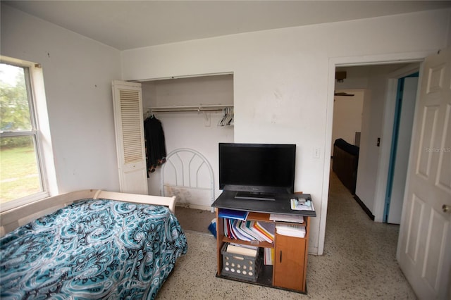 bedroom with a closet and multiple windows