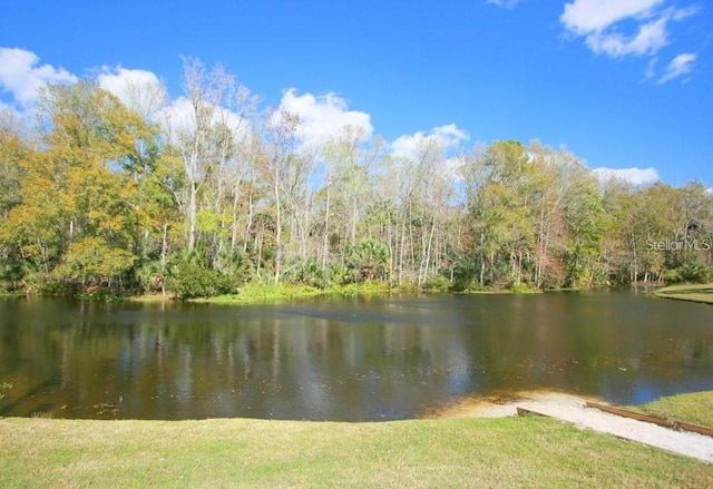 property view of water