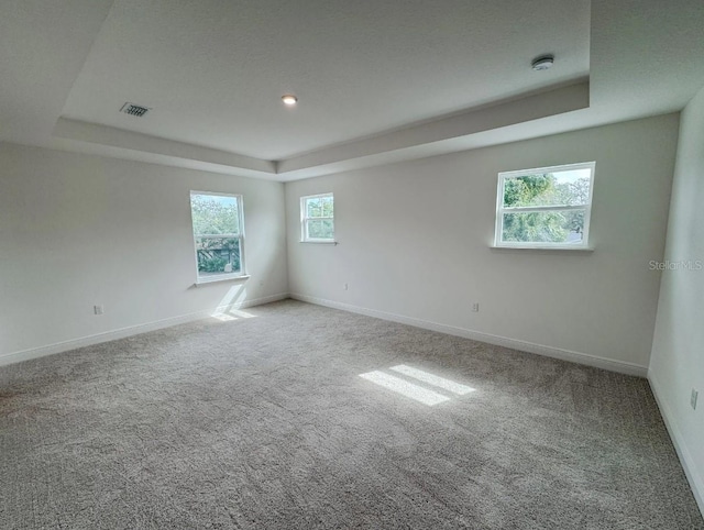 carpeted empty room with a raised ceiling