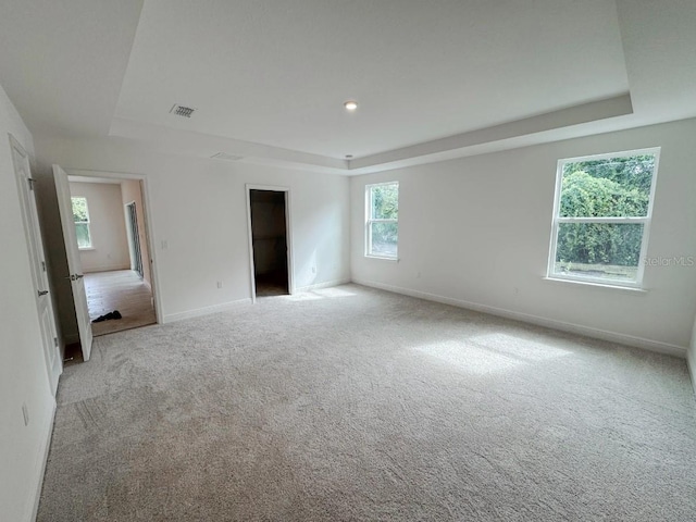 carpeted empty room featuring a raised ceiling and a healthy amount of sunlight