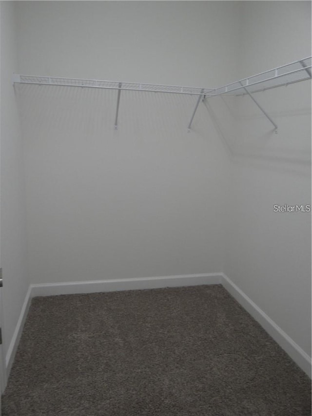 walk in closet featuring dark colored carpet