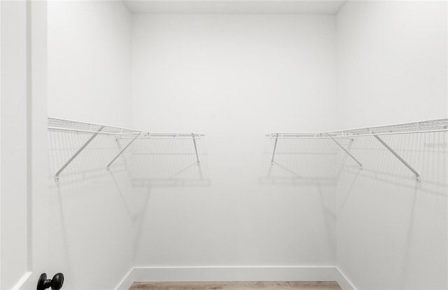 634 Burch Ave, Winter Garden, FL 34787 - walk in closet featuring light wood finished floors