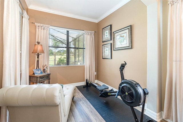 workout area with wood-type flooring and crown molding