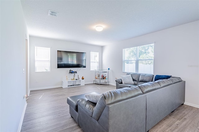 living room featuring a textured ceiling, light hardwood / wood-style flooring, and a healthy amount of sunlight