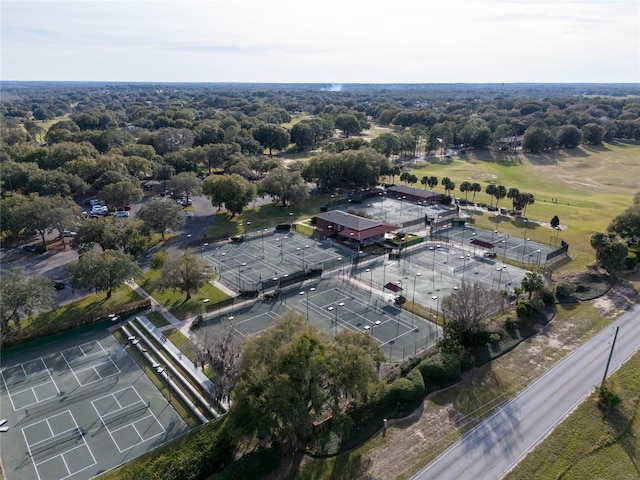 12965 Trovita Dr, Grand Island, FL 32735 - birds eye view of property
