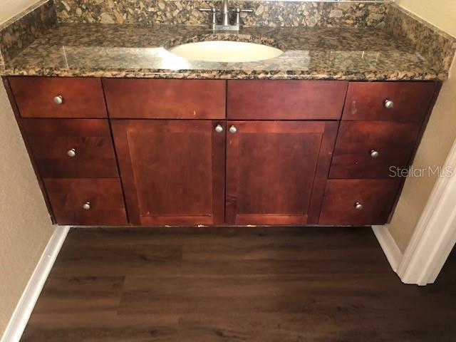 interior details featuring hardwood / wood-style floors and sink