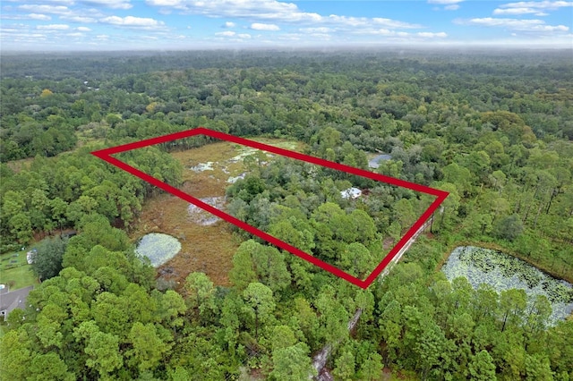 32745 Blackwater Oaks Dr, Eustis, FL 32736 - photo 2
