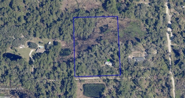 32745 Blackwater Oaks Dr, Eustis, FL 32736 - photo 3