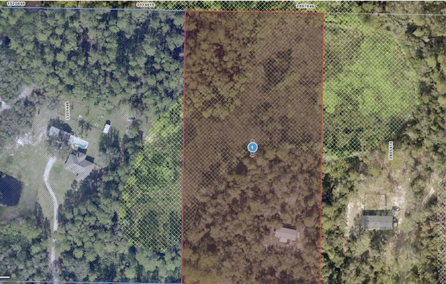 32745 Blackwater Oaks Dr, Eustis, FL 32736 - photo 4