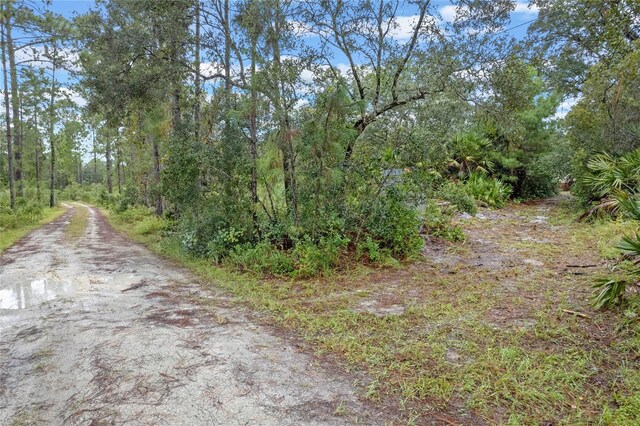 32745 Blackwater Oaks Dr, Eustis, FL 32736 - photo 5