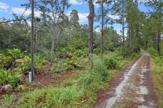 32745 Blackwater Oaks Dr, Eustis, FL 32736 - photo 6