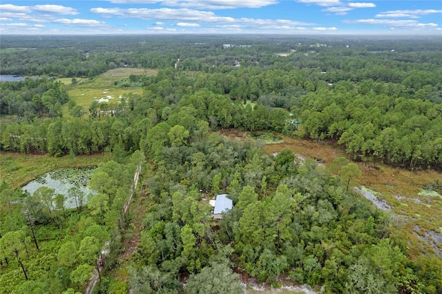 32745 Blackwater Oaks Dr, Eustis, FL 32736 - photo 9