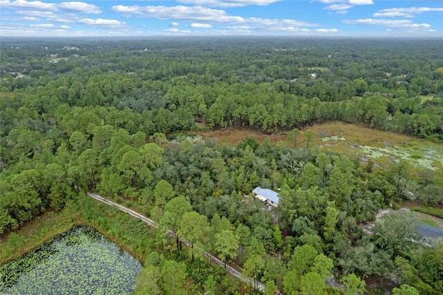 32745 Blackwater Oaks Dr, Eustis, FL 32736 - photo 13