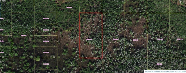 Holopaw Groves Rd, Saint Cloud FL, 34773 land for sale