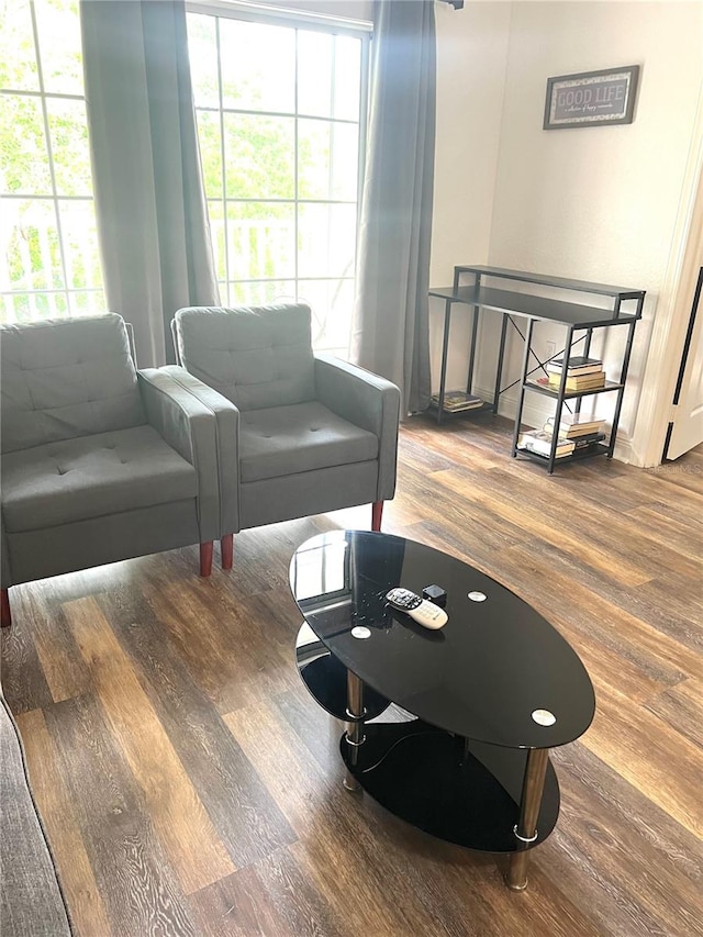 living room with hardwood / wood-style flooring