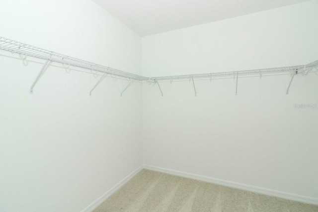 spacious closet with light carpet