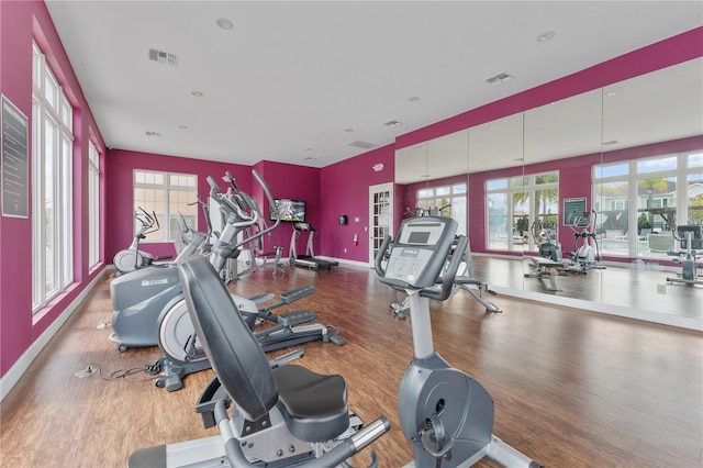 workout area featuring hardwood / wood-style floors and a healthy amount of sunlight