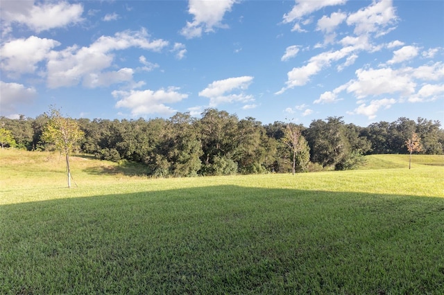 view of yard featuring a rural view