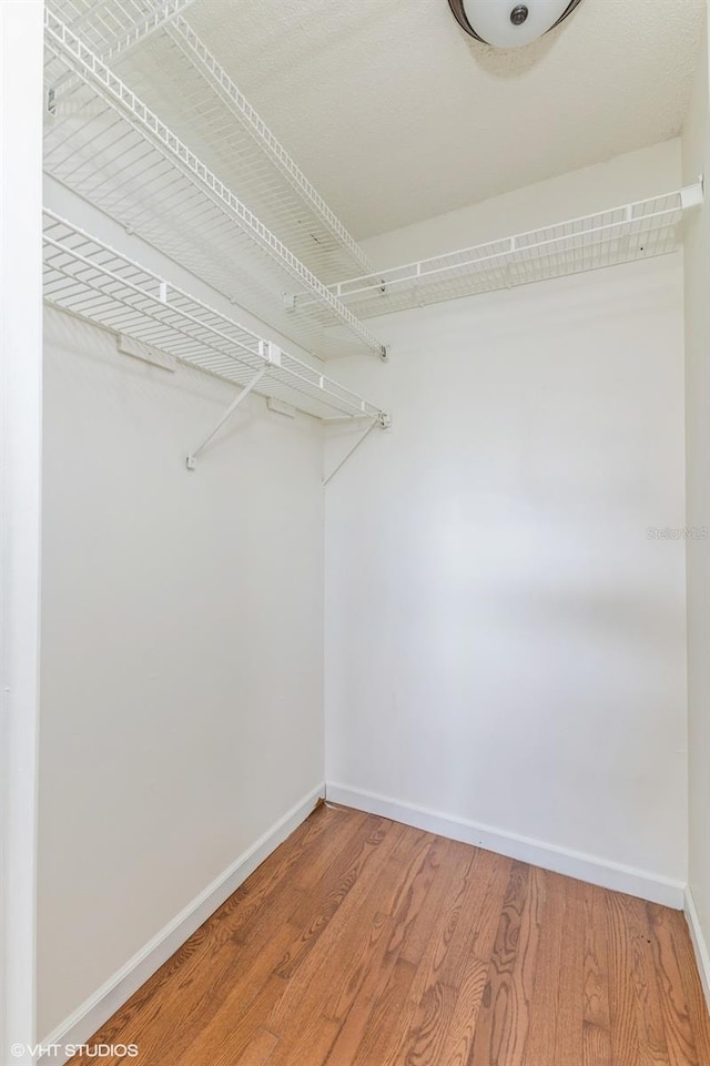 walk in closet featuring hardwood / wood-style flooring