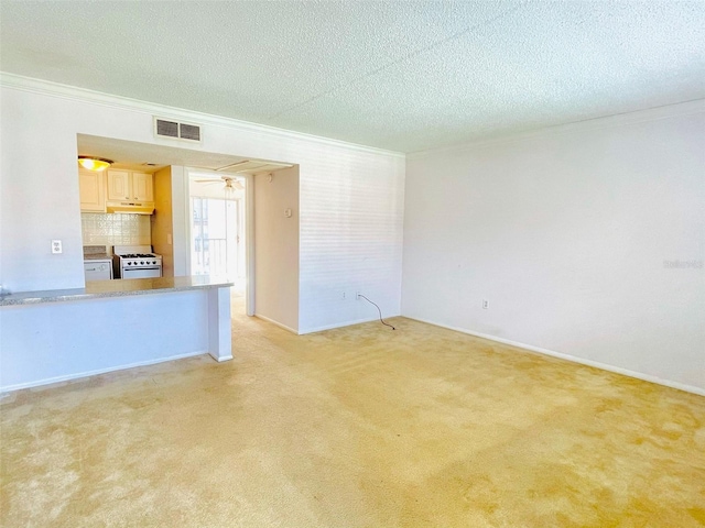 spare room with crown molding, light colored carpet, and a textured ceiling