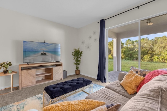 living room with carpet floors