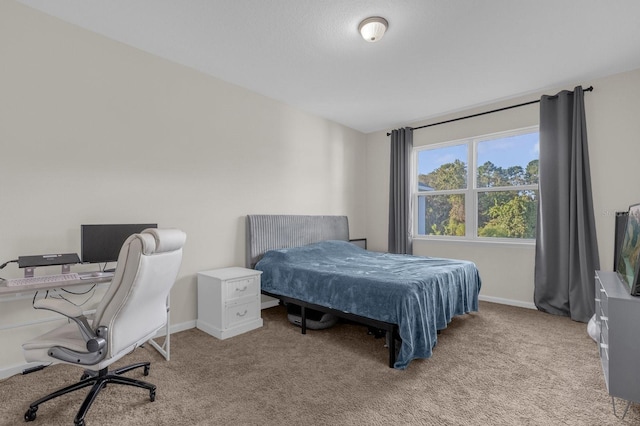 bedroom with light colored carpet