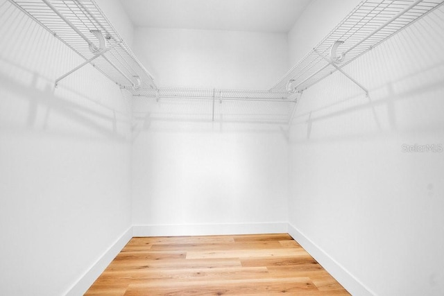 spacious closet with hardwood / wood-style flooring