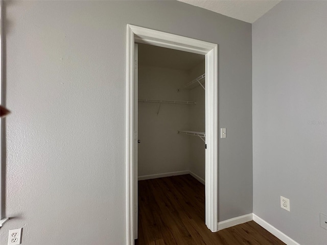 walk in closet featuring dark wood-type flooring