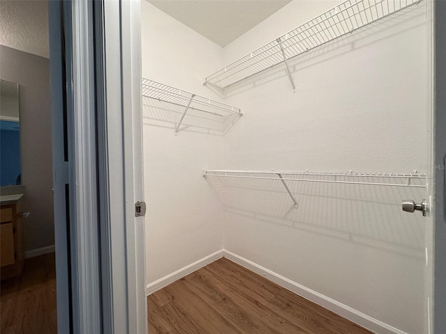 spacious closet with wood-type flooring