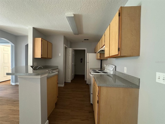 kitchen featuring light brown cabinets, white electric range, sink, light wood-type flooring, and kitchen peninsula