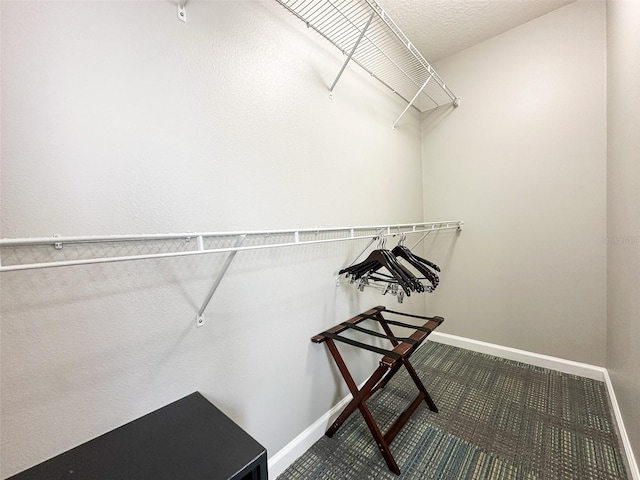 14501 Grove Resort Ave Unit 1507, Winter Garden, FL 34787 - walk in closet featuring carpet