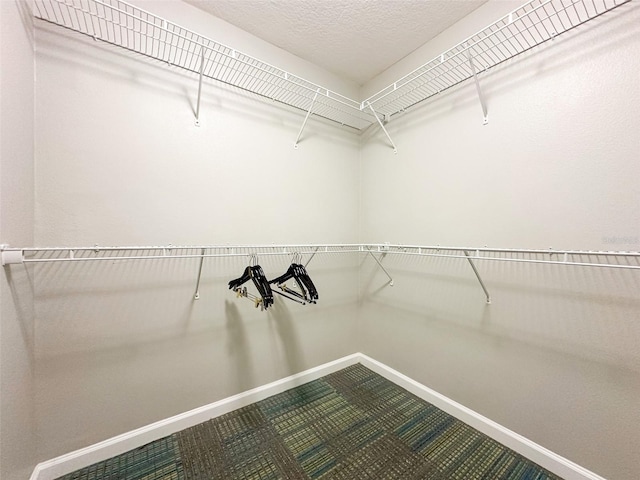 14501 Grove Resort Ave Unit 1507, Winter Garden, FL 34787 - walk in closet with carpet flooring