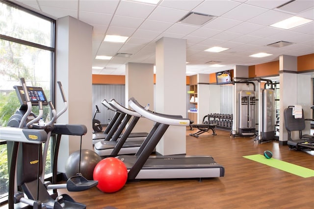 workout area featuring a drop ceiling and hardwood / wood-style floors