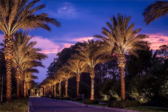 14501 Grove Resort Ave Unit 1507, Winter Garden, FL 34787 - view of asphalt road featuring curbs