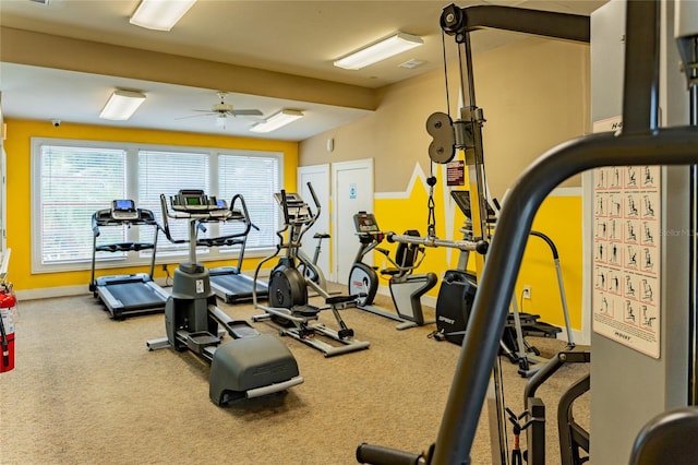 gym featuring carpet and ceiling fan