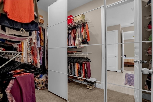 view of spacious closet