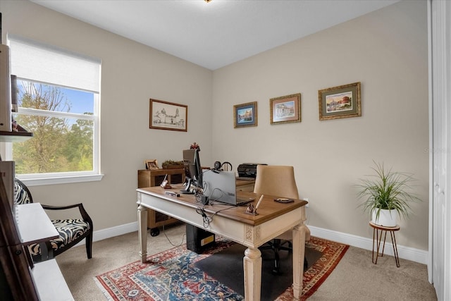 office area featuring carpet flooring