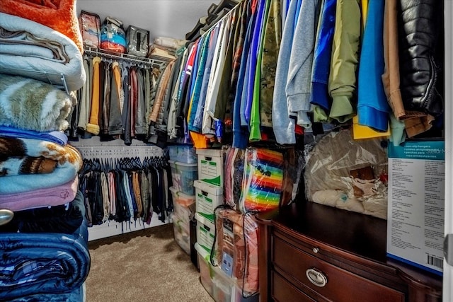 spacious closet with carpet