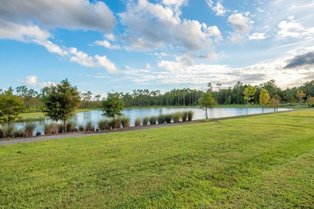 property view of water