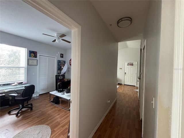 hallway featuring hardwood / wood-style flooring