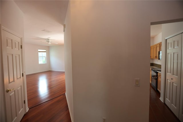 corridor featuring dark hardwood / wood-style floors