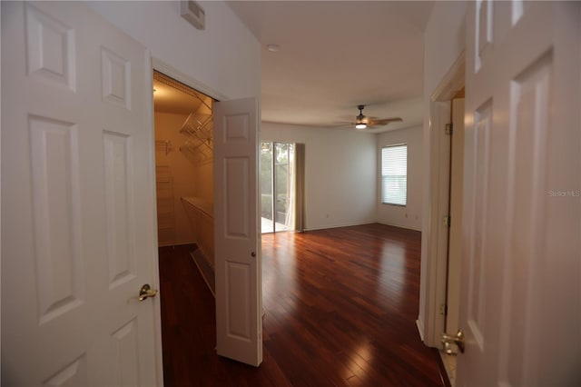 corridor with dark wood-type flooring