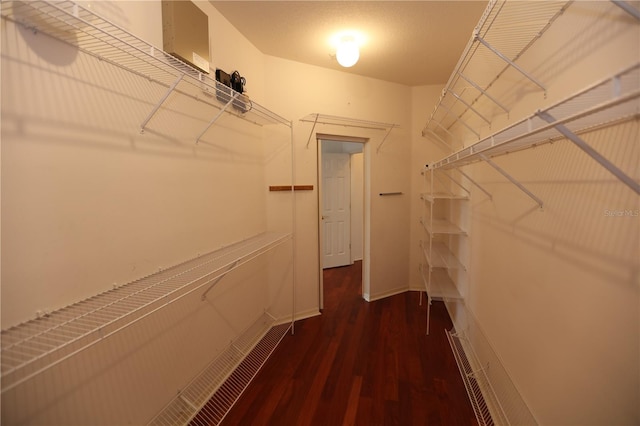 walk in closet with dark hardwood / wood-style flooring