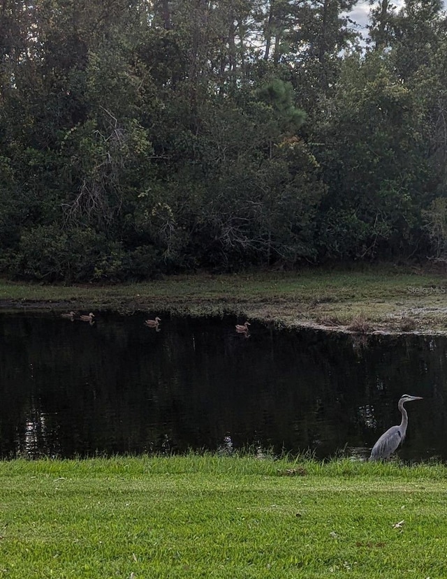 view of yard with a water view