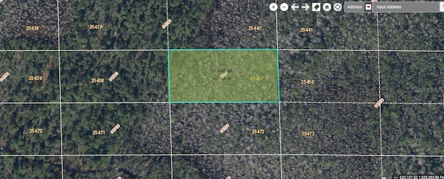 Dill Rd, Orlando FL, 32820 land for sale