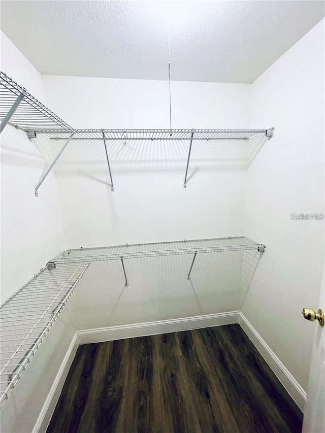 walk in closet with dark wood-type flooring