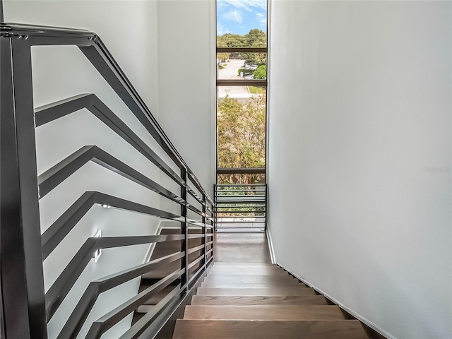 stairway with wood-type flooring