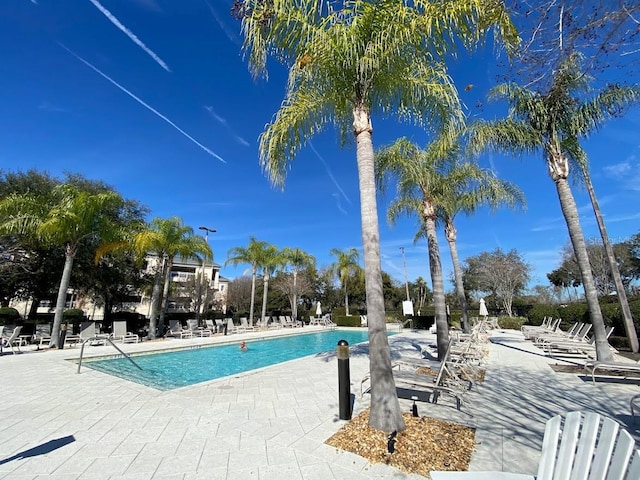 view of pool with a patio